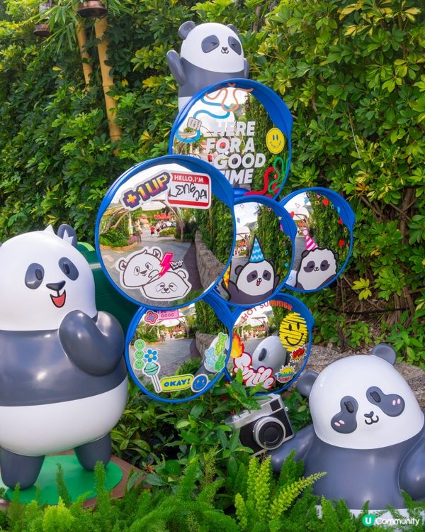 【請您去海洋公園】玩轉夏日大熊貓生日大派對 🐼 🎂！