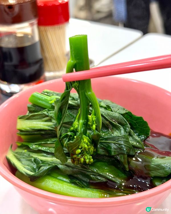 寶琳❣︎三才魚旦粉麵❣︎