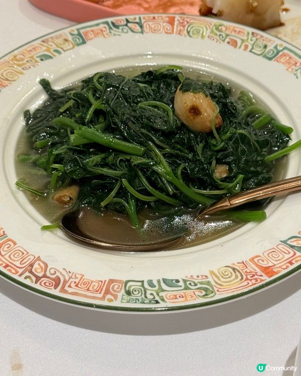 廚神富哥飯局 🌟米芝蓮天花板！😋