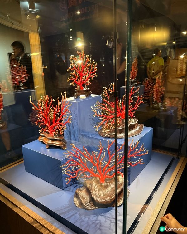 夏日好去處📚珠寶藝術學堂🎨