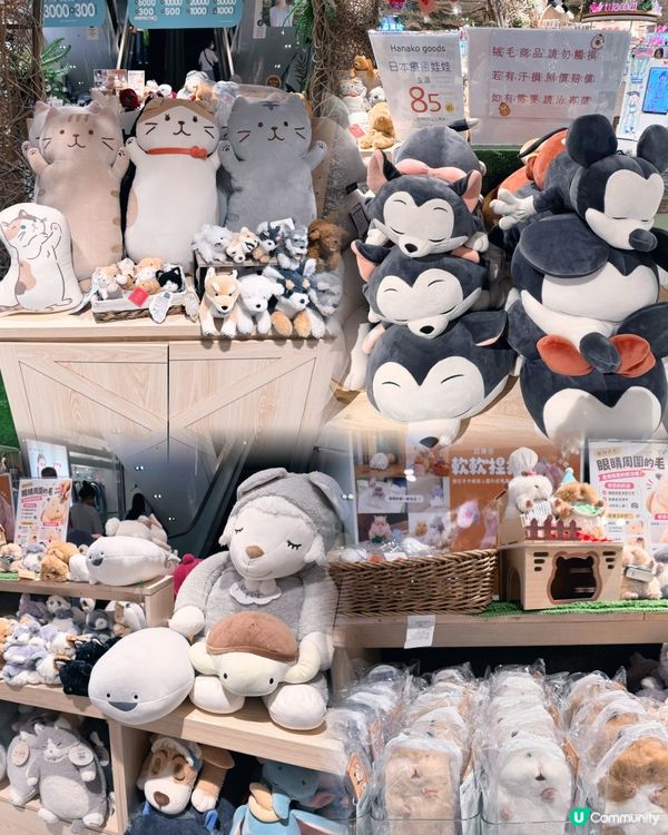 療癒日本🇯🇵小物🇯🇵，今日來尋寶🧸✨！