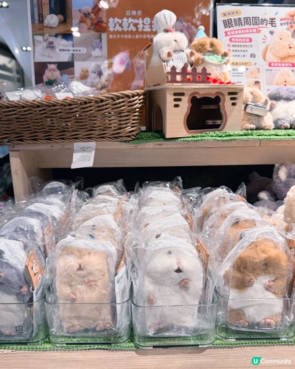 療癒日本🇯🇵小物🇯🇵，今日來尋寶🧸✨！