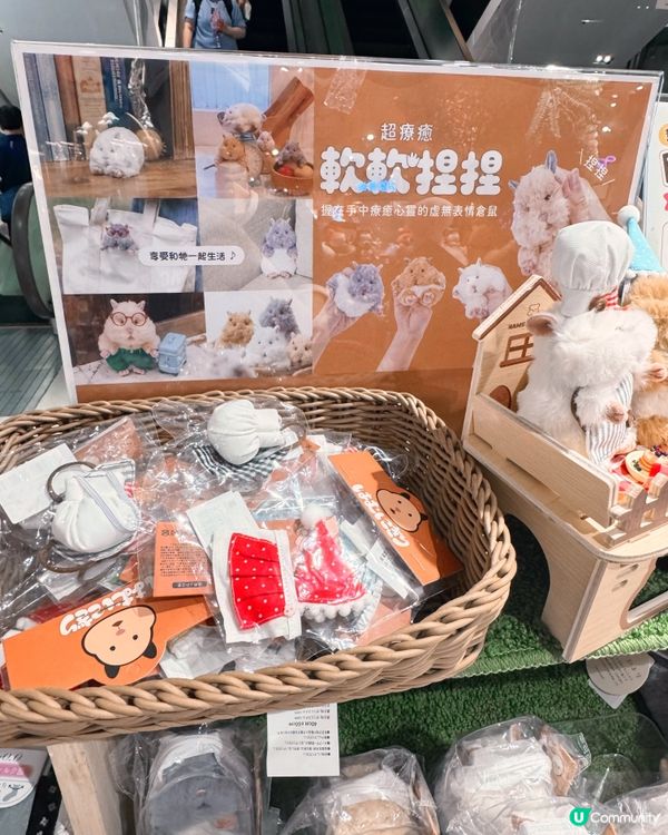 療癒日本🇯🇵小物🇯🇵，今日來尋寶🧸✨！