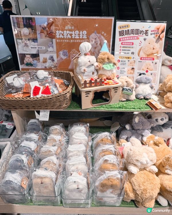 療癒日本🇯🇵小物🇯🇵，今日來尋寶🧸✨！