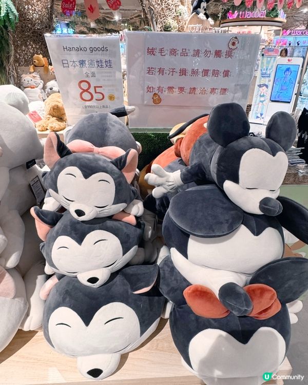 療癒日本🇯🇵小物🇯🇵，今日來尋寶🧸✨！