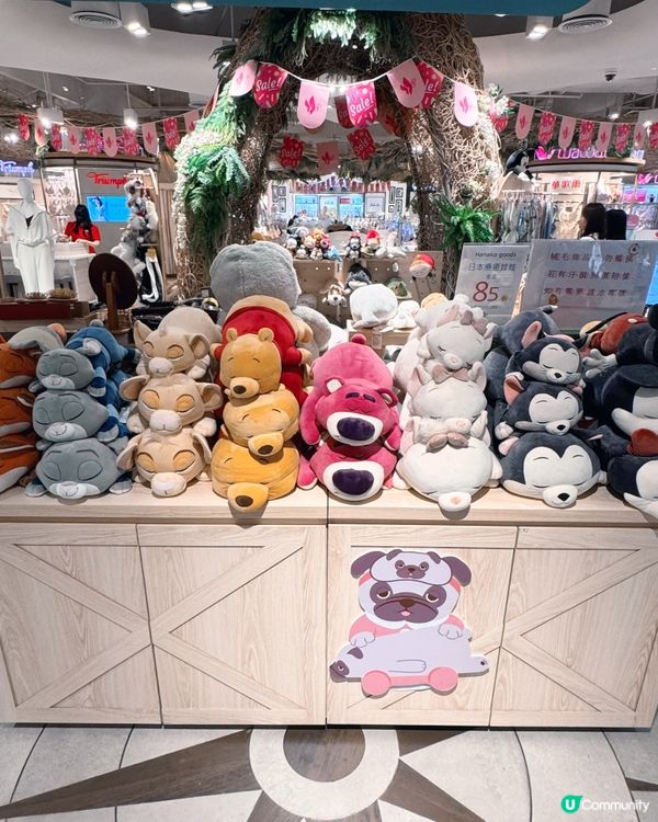 療癒日本🇯🇵小物🇯🇵，今日來尋寶🧸✨！