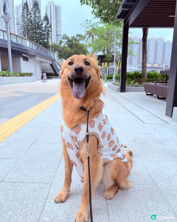 新荃灣海濱公園！🐶🌅