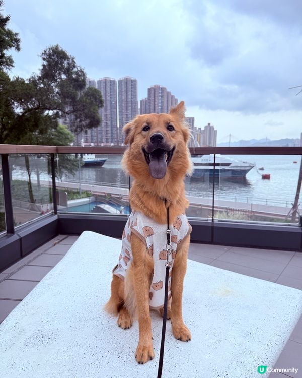 新荃灣海濱公園！🐶🌅