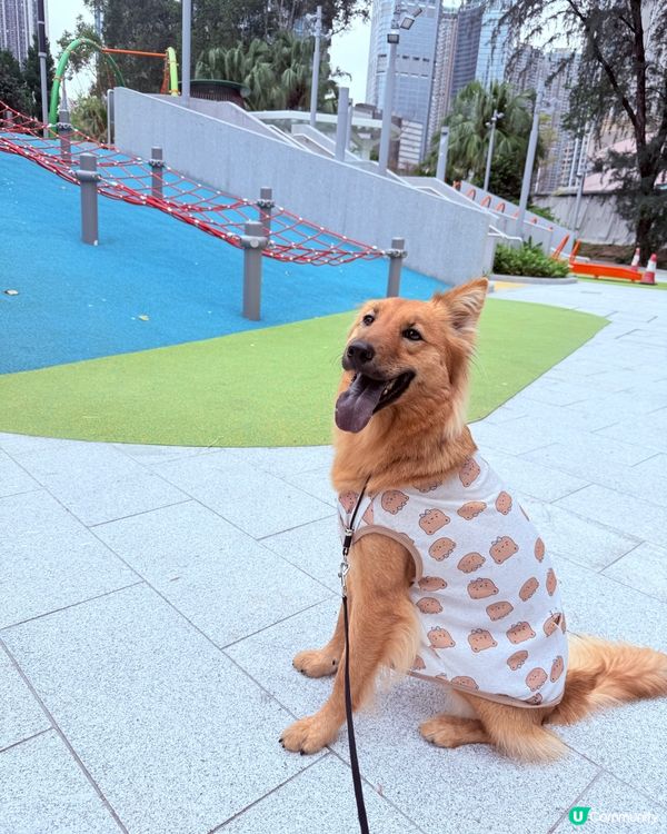 新荃灣海濱公園！🐶🌅