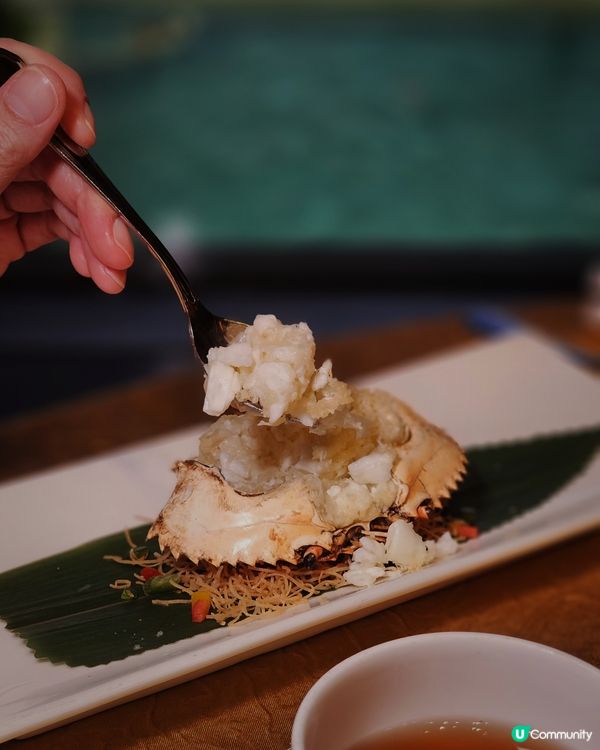 炮台山之選！君綽軒晚市🤤🥢