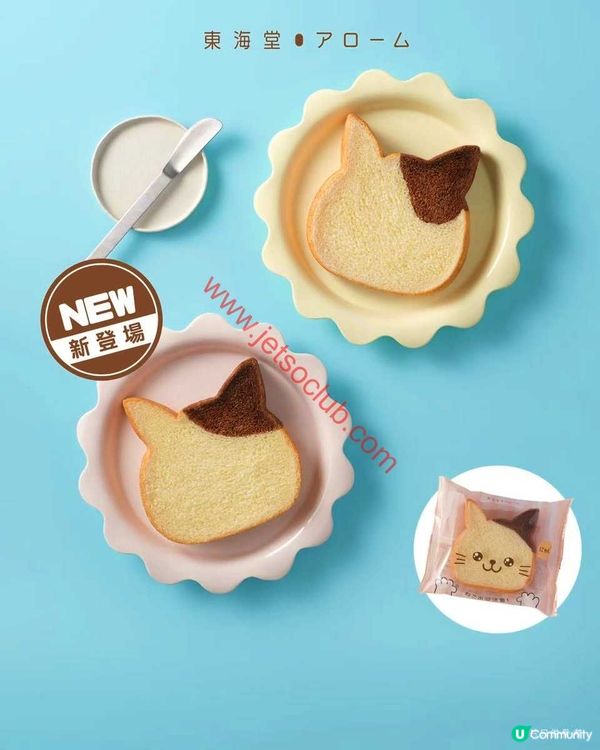 【新品速遞】東海堂貓咪吐司萌爆登場！還有堅果綠茶牛角包陪你Chill！