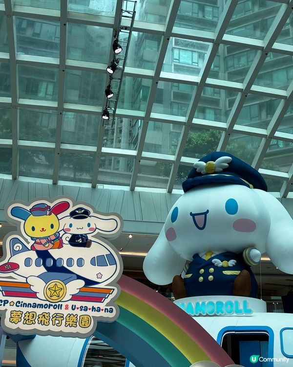 玉桂狗化身機長，帶你飛！✈️✨