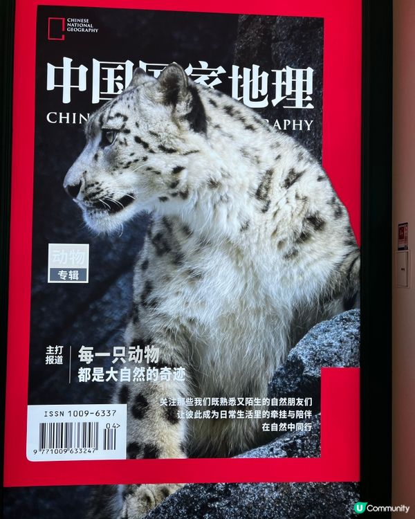 📸 深圳天河城・中國國家地理探索店｜雜誌封面打卡＋親子必去！