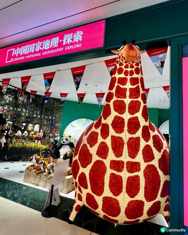 📸 深圳天河城・中國國家地理探索店｜雜誌封面打卡＋親子必去！