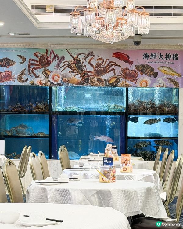 夜市風雨再大💦，也擋不住美食慾！🥢🌃