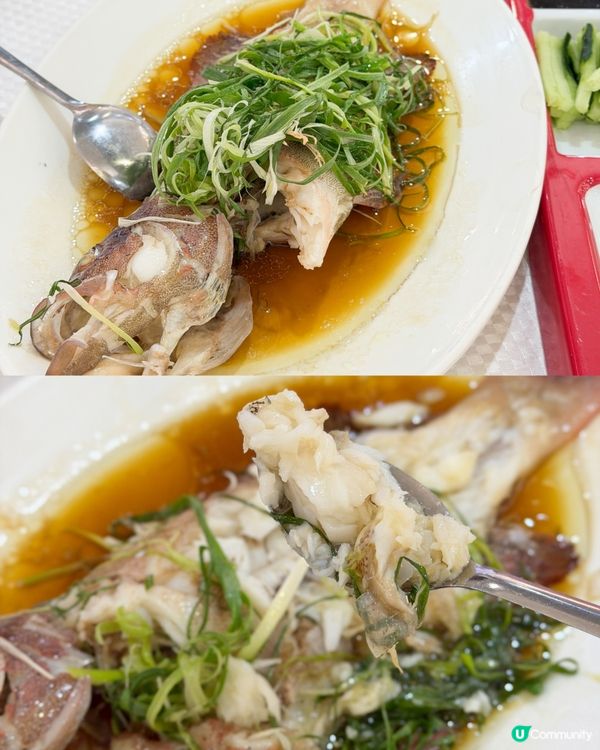 夜市風雨再大💦，也擋不住美食慾！🥢🌃
