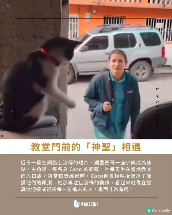 墨西哥教堂前領受「貓咪祝福」|伸手摸頭儀式！療癒舉動網絡爆紅                                                    