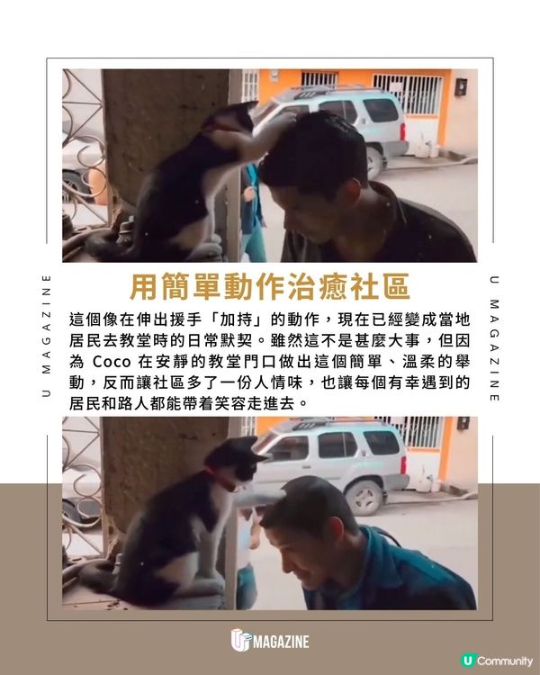 墨西哥教堂前領受「貓咪祝福」|伸手摸頭儀式！療癒舉動網絡爆紅                                                    
