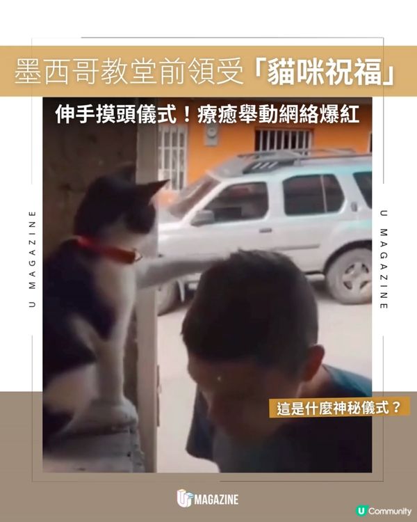 墨西哥教堂前領受「貓咪祝福」|伸手摸頭儀式！療癒舉動網絡爆紅                                                    