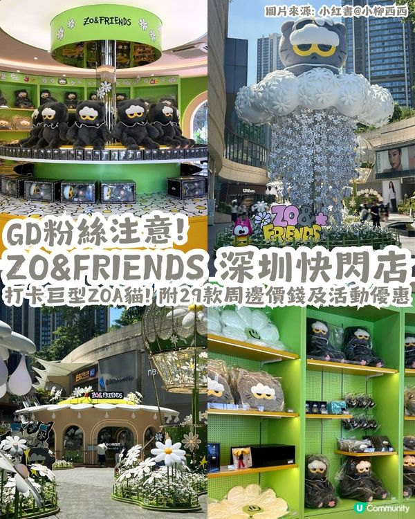 GD ZO&FRIENDS 深圳快閃店🩶打卡巨型ZOA貓! 附29款周邊價錢及活動優惠