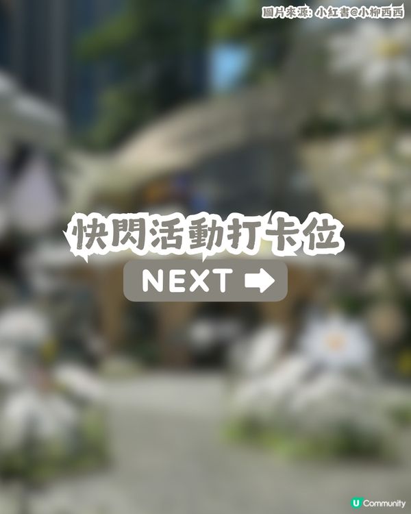 GD ZO&FRIENDS 深圳快閃店🩶打卡巨型ZOA貓! 附29款周邊價錢及活動優惠