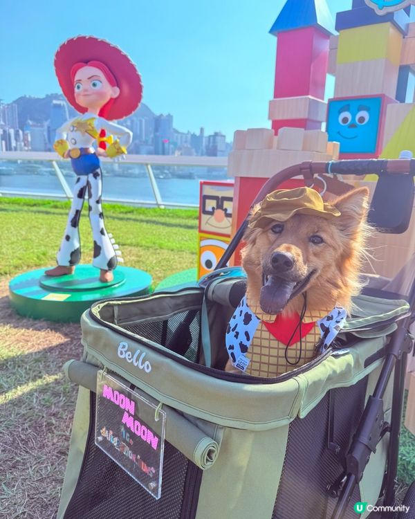 玩具總動員 5！海港城打卡必去！🤩 🗓️