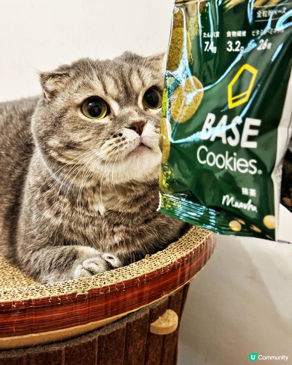 減肥又唔餓肚❓🍫🍵 陪你輕鬆瘦！🏃‍♀️