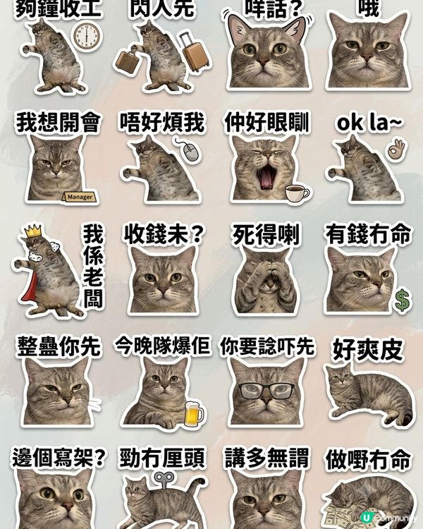 0設計天份都得！主子秒變表情包sticker ！🤩