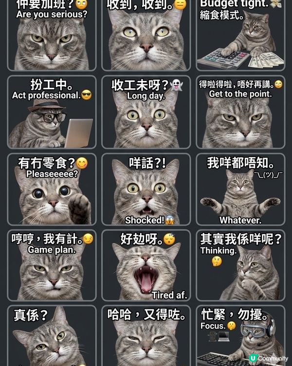 0設計天份都得！主子秒變表情包sticker ！🤩