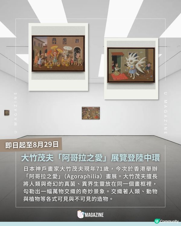 走進日本畫家大竹茂夫的「真菌網絡」🎨🍄