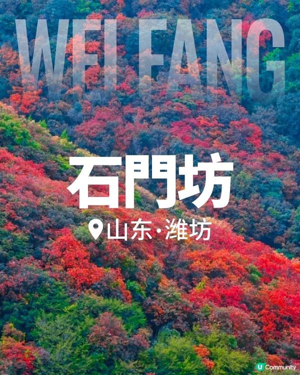 港澳出發，第一次去濰坊怎麼玩？