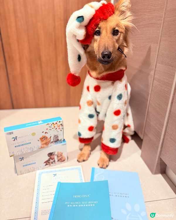 媽士揭曉我嘅DNA！ 🐕 🤯