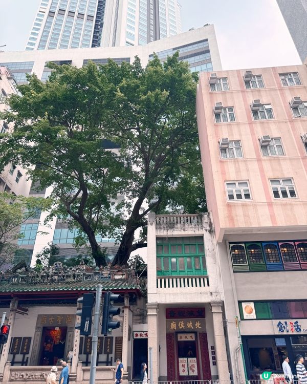 皇后大道東變身文青巷！🎨✨