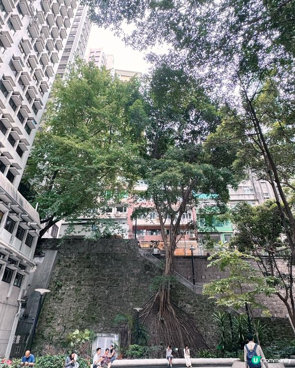 皇后大道東變身文青巷！🎨✨