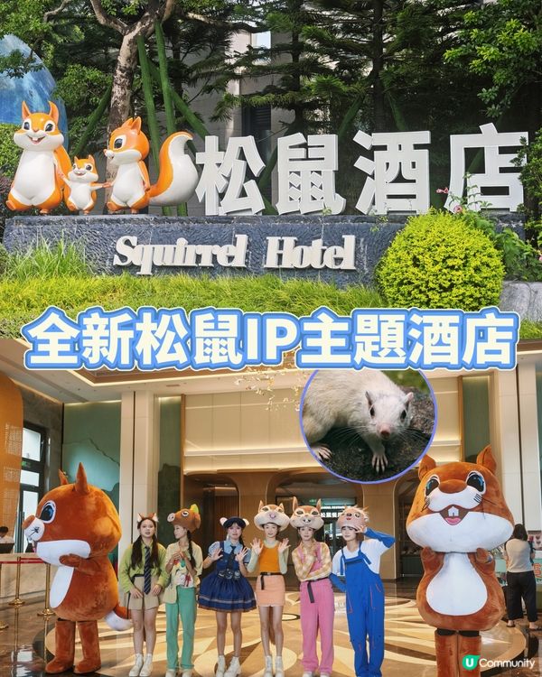 大灣區親子避暑｜森波拉水陸雙園超抵玩✨