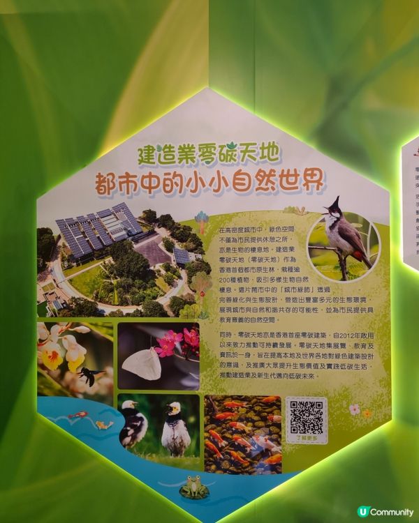 暑假親子樂! 綠色知識📚🚀