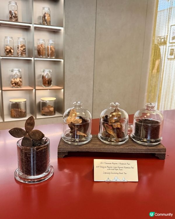 Louis Vuitton-Savoir Rêver2026