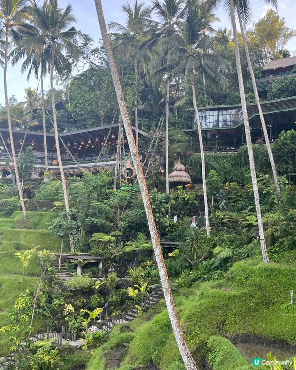 世界自然遺產德哥拉梯田