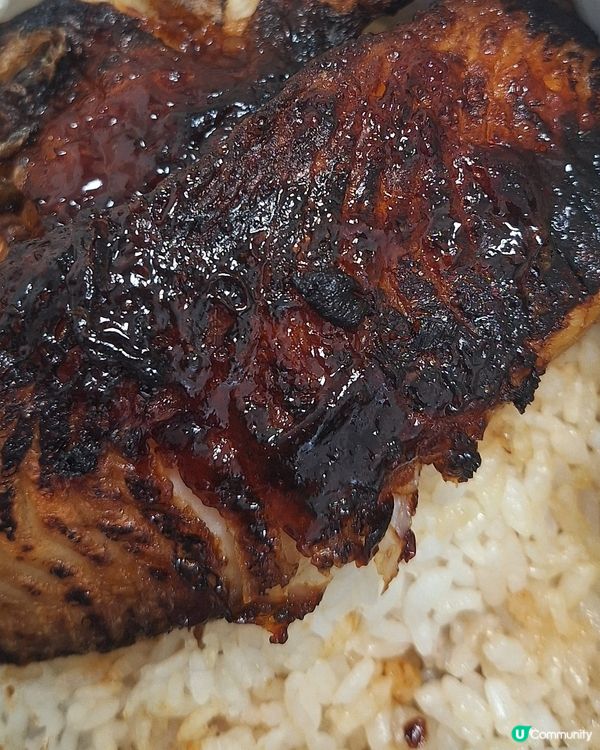 （偽）鰻魚飯