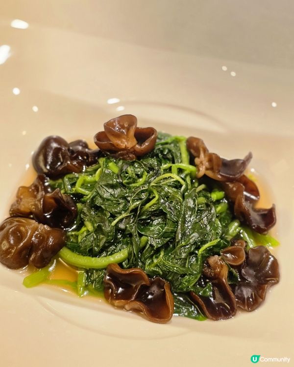 尖沙咀🍽️極致奢華金裝富豪宴