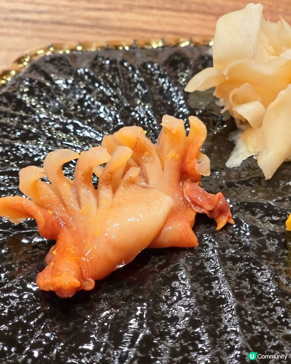🍱大坑日料小店，食完即刻book下一餐