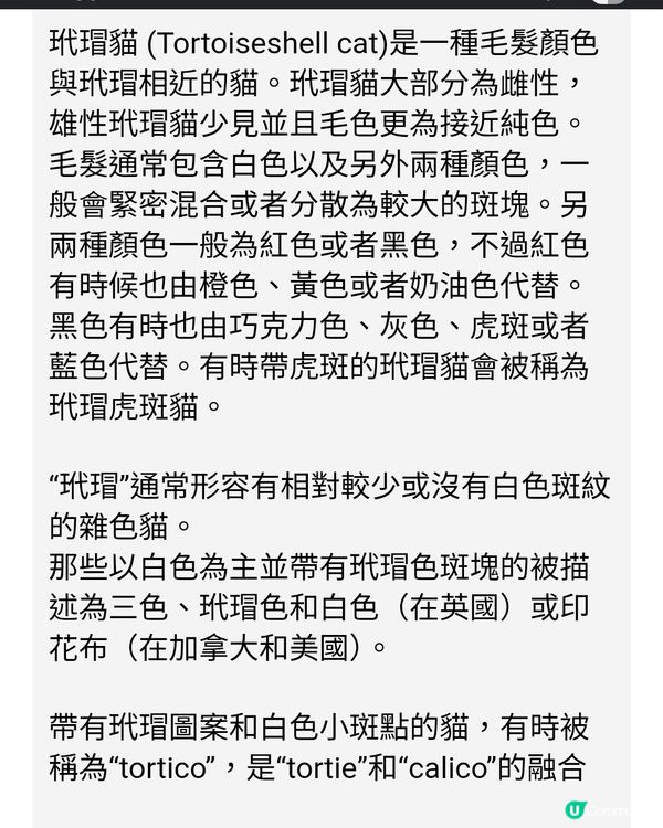 研究貓貓