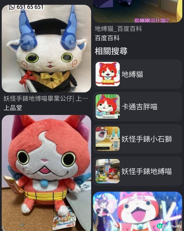 貓嘅品種
