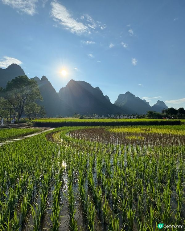 夏日桂林放空之旅🏞️✨