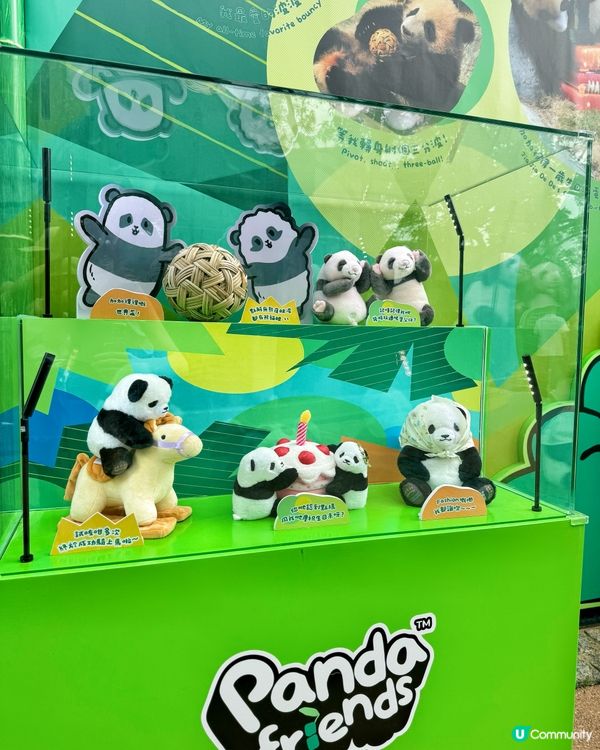 🐼🎂【暑期好去處】海洋公園大熊貓生日大派對!