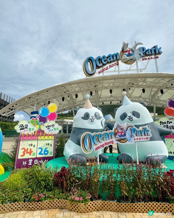 🐼🎂【暑期好去處】海洋公園大熊貓生日大派對!
