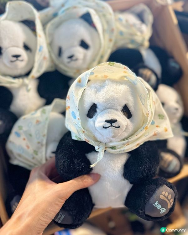 🐼🎂【暑期好去處】海洋公園大熊貓生日大派對!