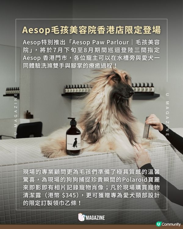 Aesop門市限時化身毛孩美容院！主人狗仔沉浸式體驗溫和寵物清潔露🧴🌿