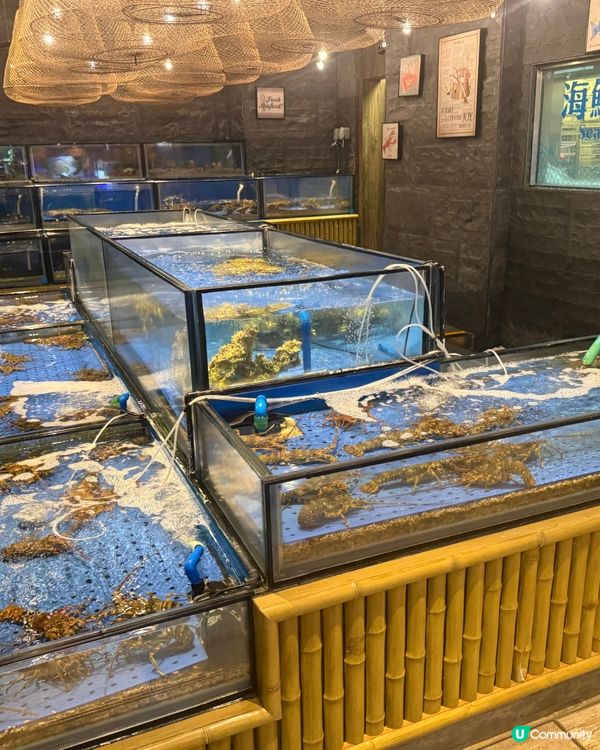 到底要帶幾大個胃，才能征服自助山的餐枱松枱？