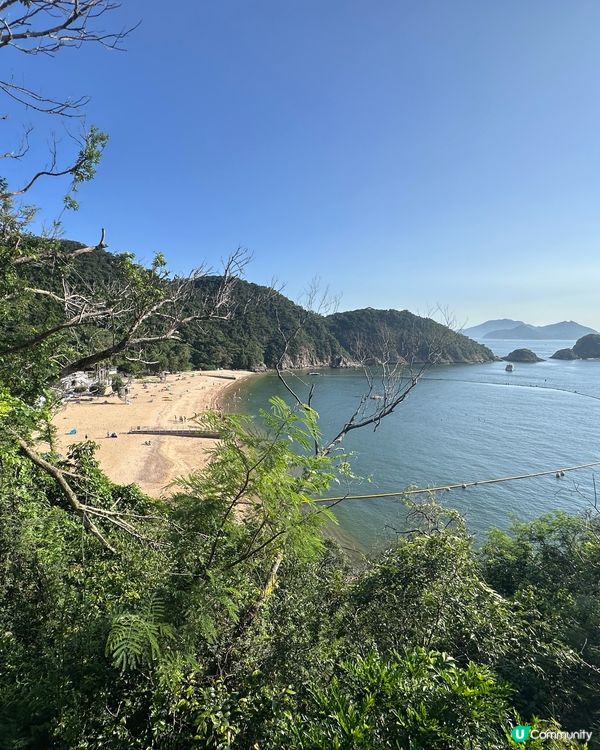 暢泳